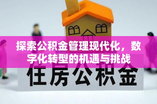 黄骅探索公积金管理现代化，数字化转型的机遇与挑战