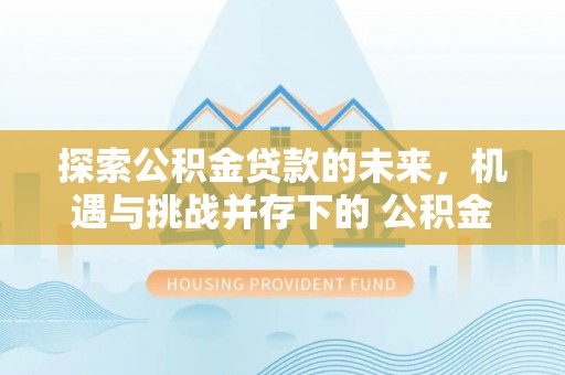 黄骅探索公积金贷款的未来，机遇与挑战并存下的 公积金贷款风险防控
