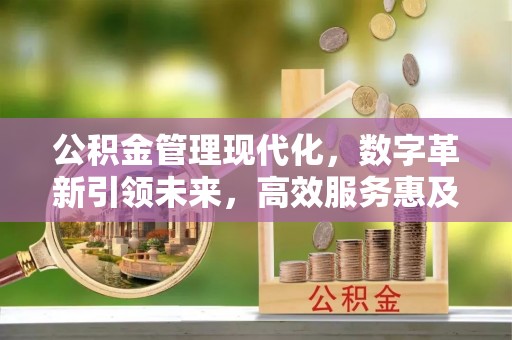黄骅公积金管理现代化，数字革新引领未来，高效服务惠及民生