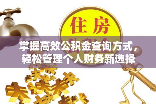 黄骅掌握高效公积金查询方式，轻松管理个人财务新选择