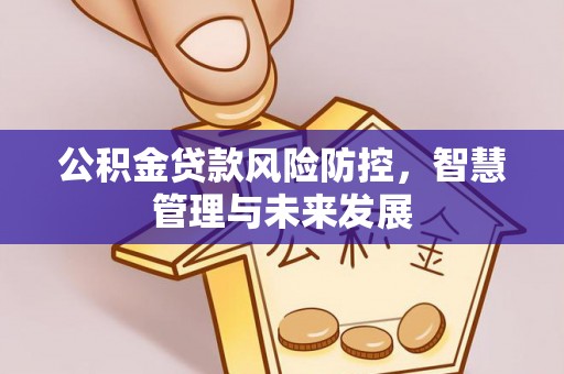 黄骅公积金贷款风险防控，智慧管理与未来发展