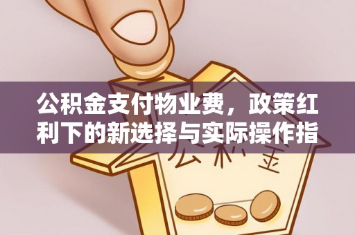 黄骅公积金支付物业费，政策红利下的新选择与实际操作指南