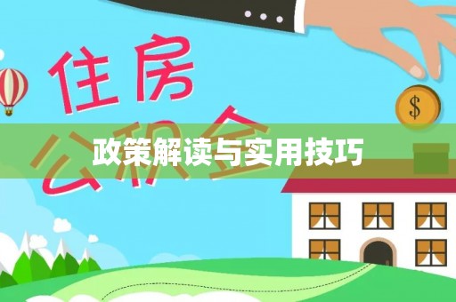 黄骅政策解读与实用技巧