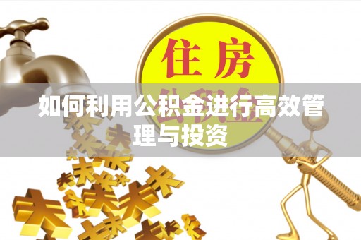 黄骅如何利用公积金进行高效管理与投资