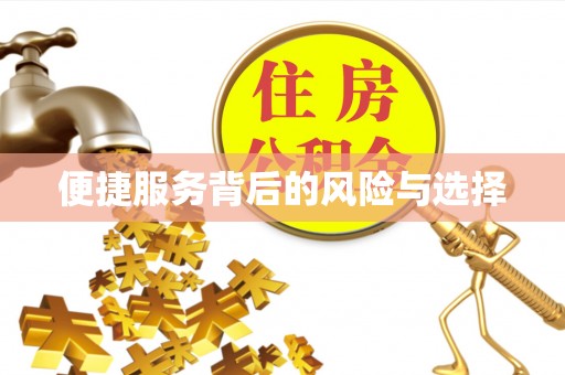黄骅便捷服务背后的风险与选择