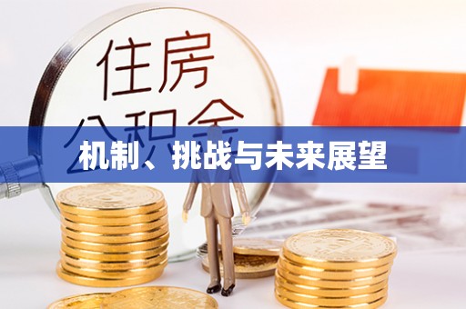 黄骅机制、挑战与未来展望
